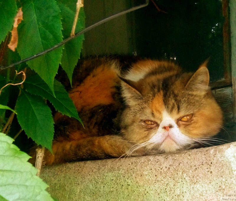 Фото: Evgeniy Stepanov (Евгений Степанов)