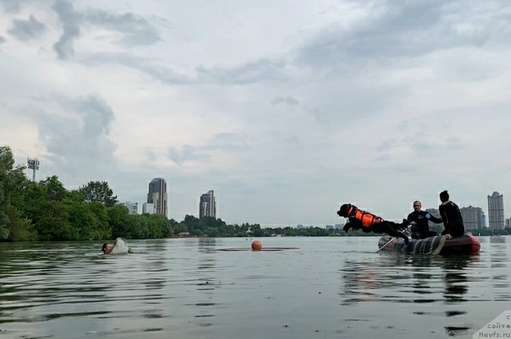 Фотография № 247207