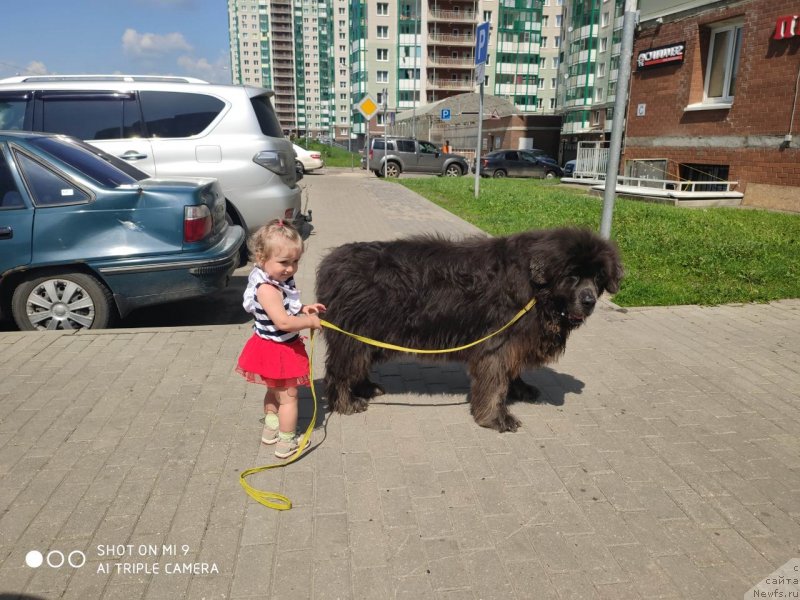 Фотография № 247212