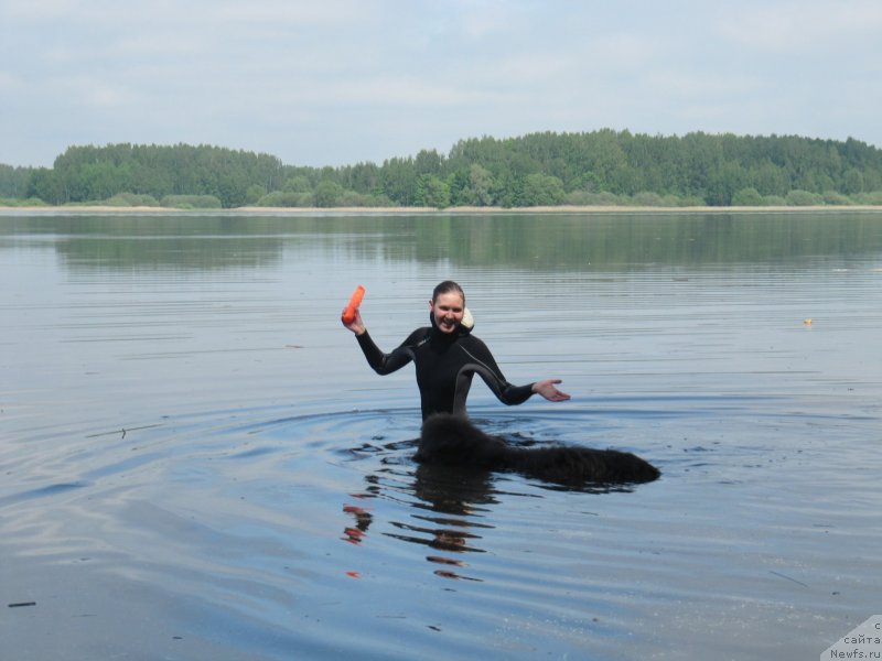 Фотография № 247235