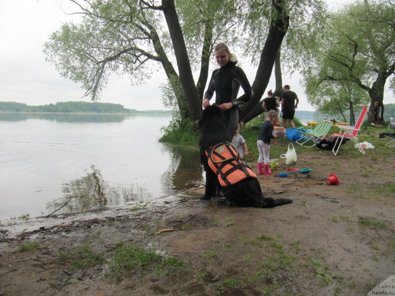 Фотография № 247236