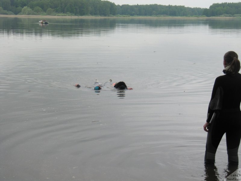 Фотография № 247237