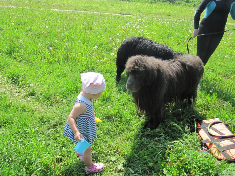 Фотография № 247239