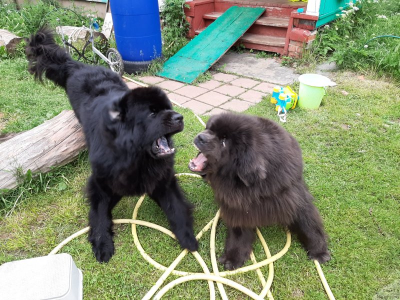 Фотография № 247243