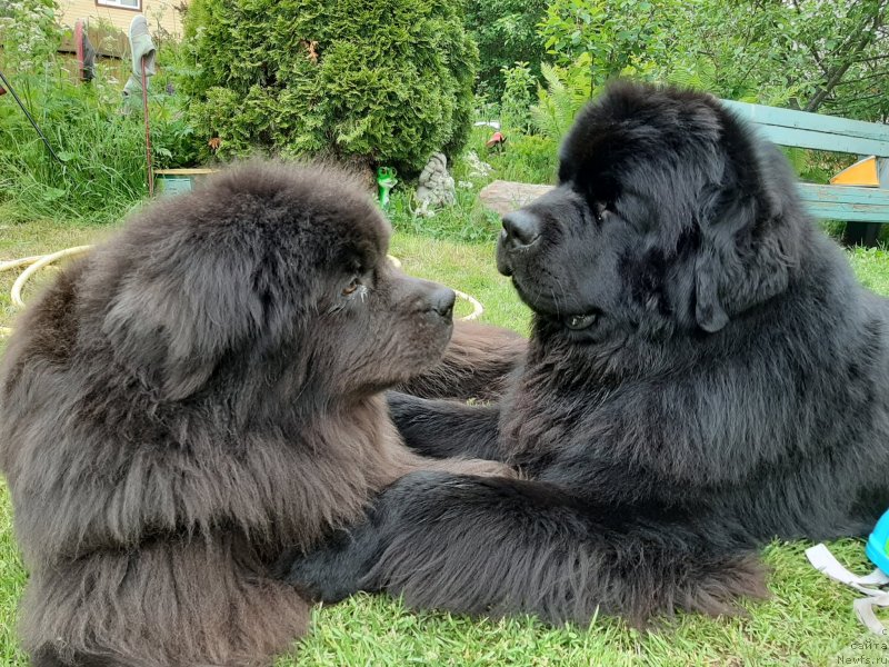 Фотография № 247244