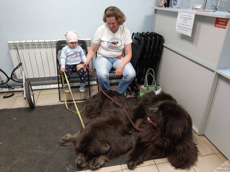 Фотография № 247257