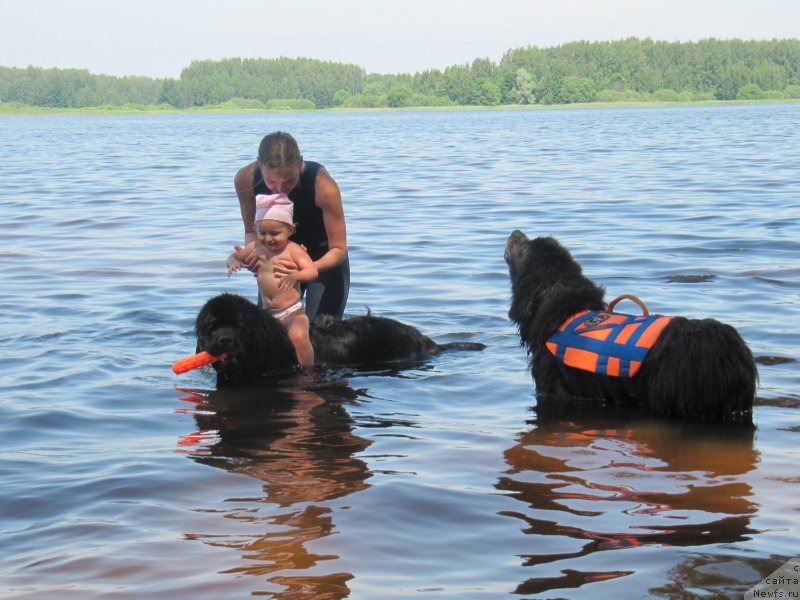 Фотография № 247276