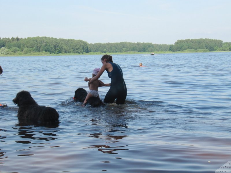 Фотография № 247278