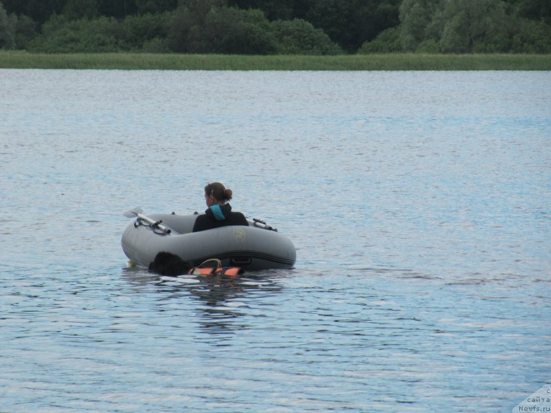 Фотография № 247285