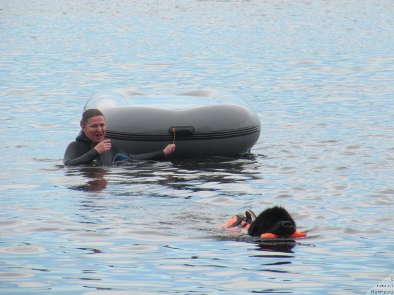 Фотография № 247288