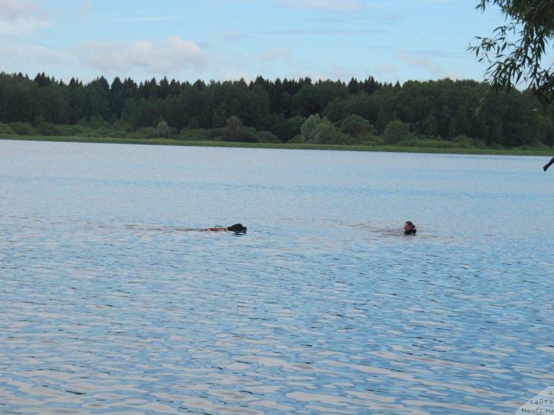 Фотография № 247292