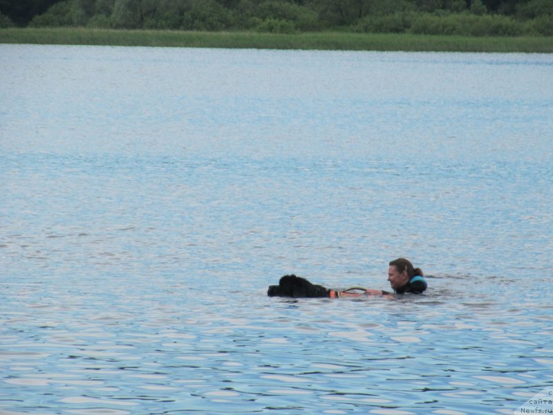 Фотография № 247293