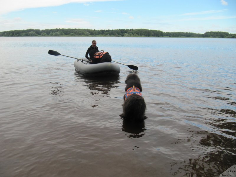 Фотография № 247296