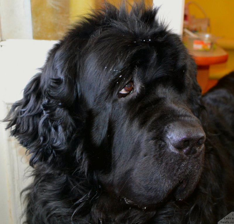 Фотография № 247301