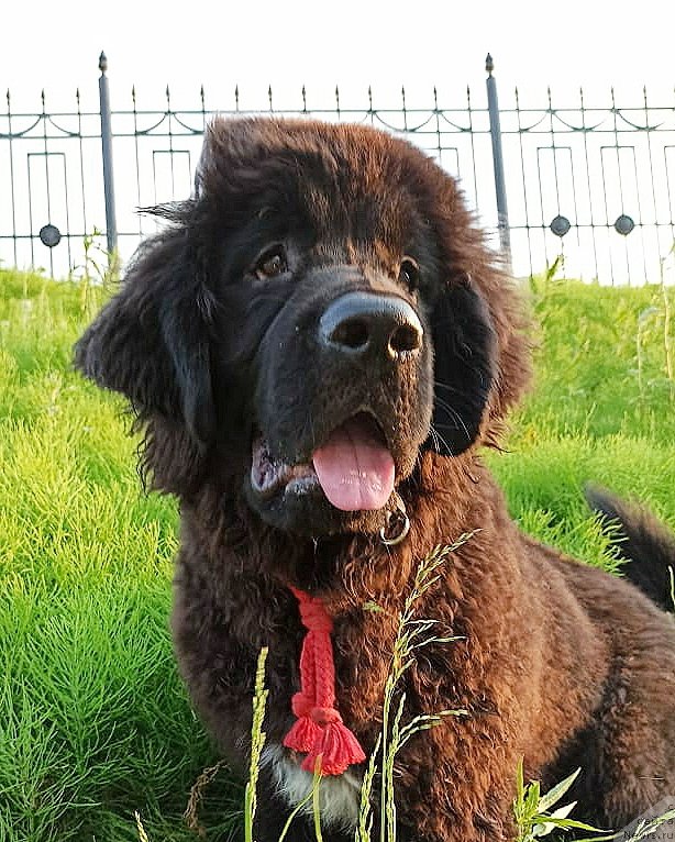 Фотография № 247305