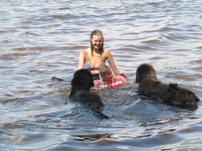 Фотография № 247315