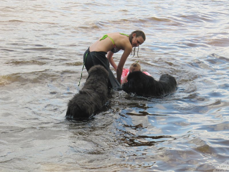 Фотография № 247316