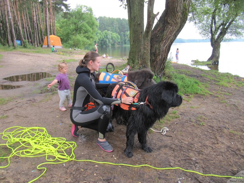 Фотография № 247325