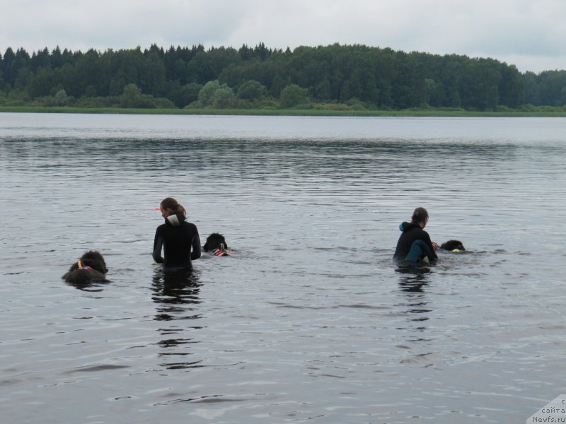 Фотография № 247327