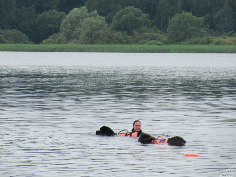 Фотография № 247329