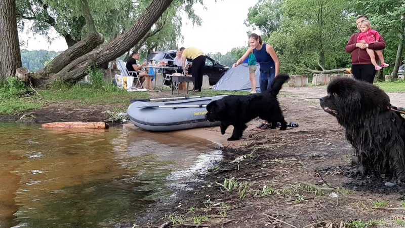 Фотография № 247342