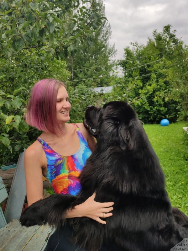 Фотография № 247352