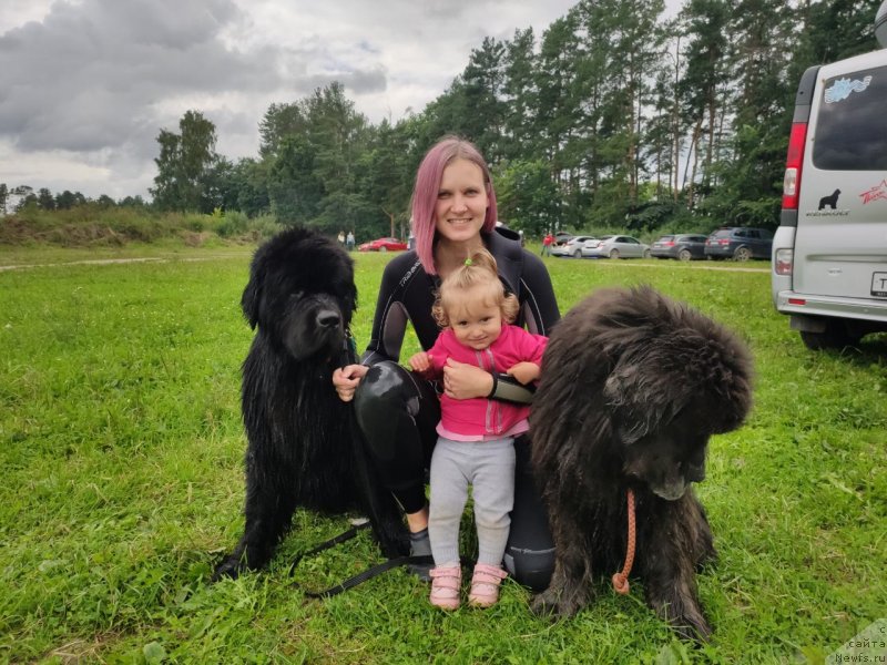 Фотография № 247353