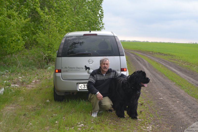 Фото: ньюфаундленд Ugryum Reka iz Tihogo Omuta (Угрюм Река Из Тихого Омута)