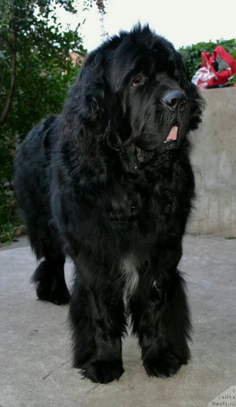 Фотография № 247361