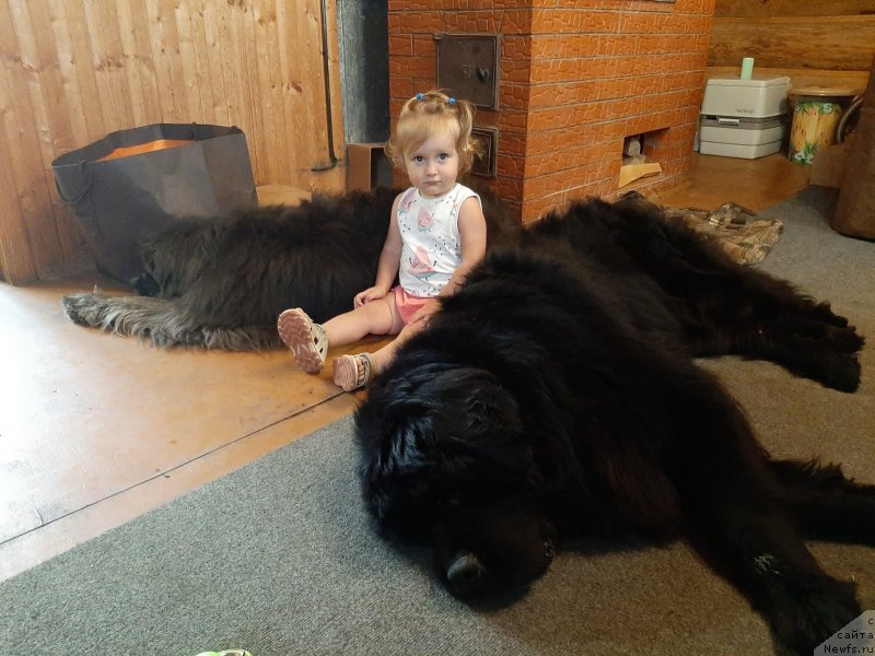 Фотография № 247391