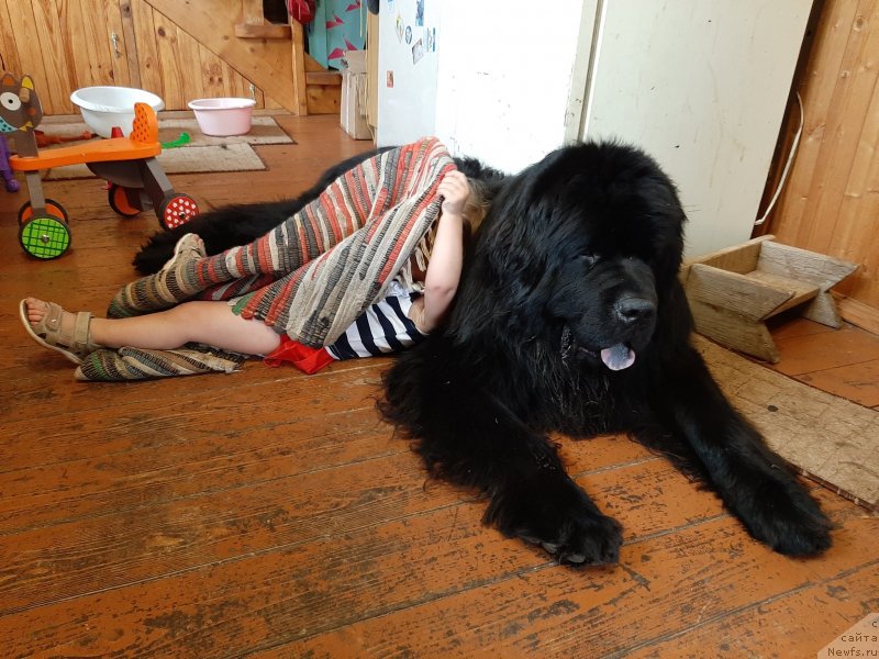 Фотография № 247392