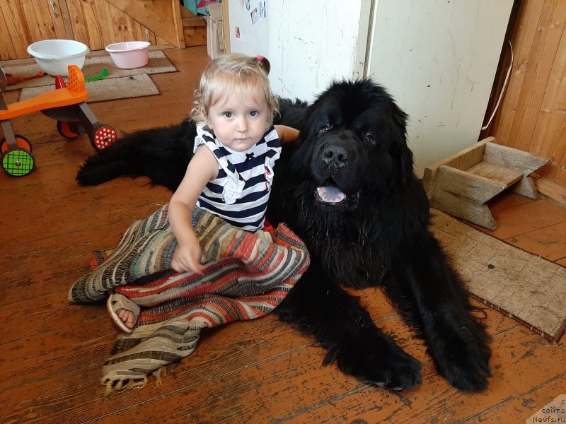 Фотография № 247393