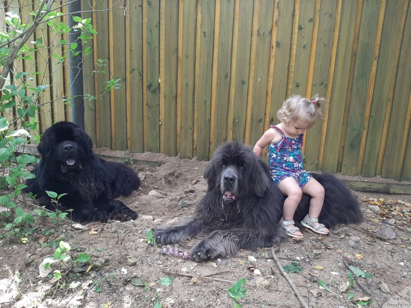 Фотография № 247396