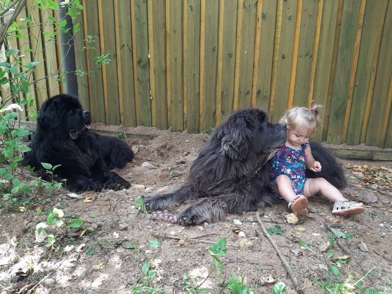 Фотография № 247398