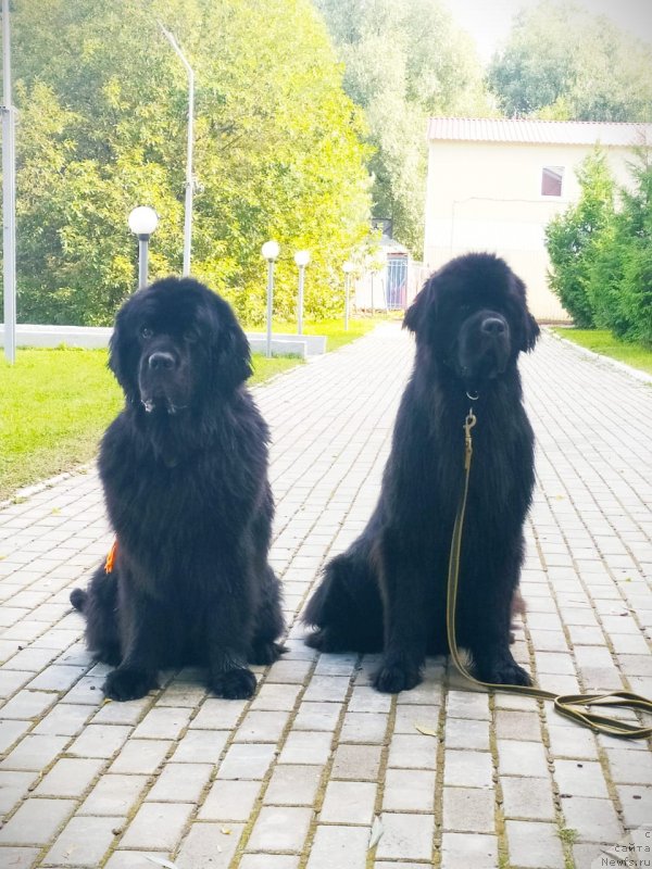 Фотография № 247422