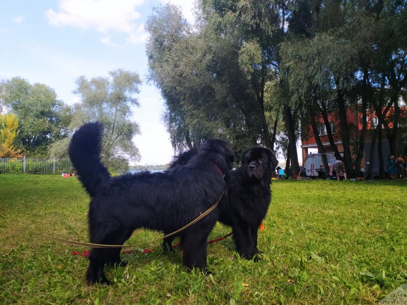 Фотография № 247424