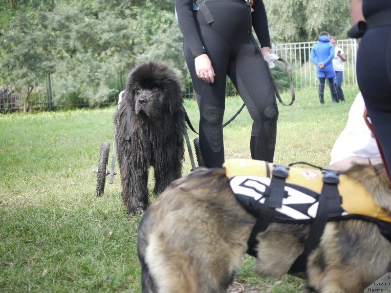 Фотография № 247427