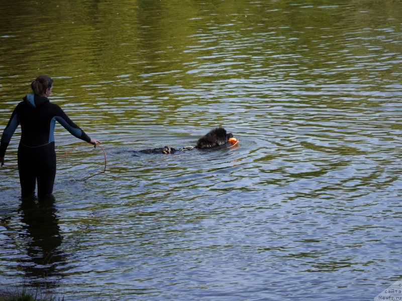 Фотография № 247428