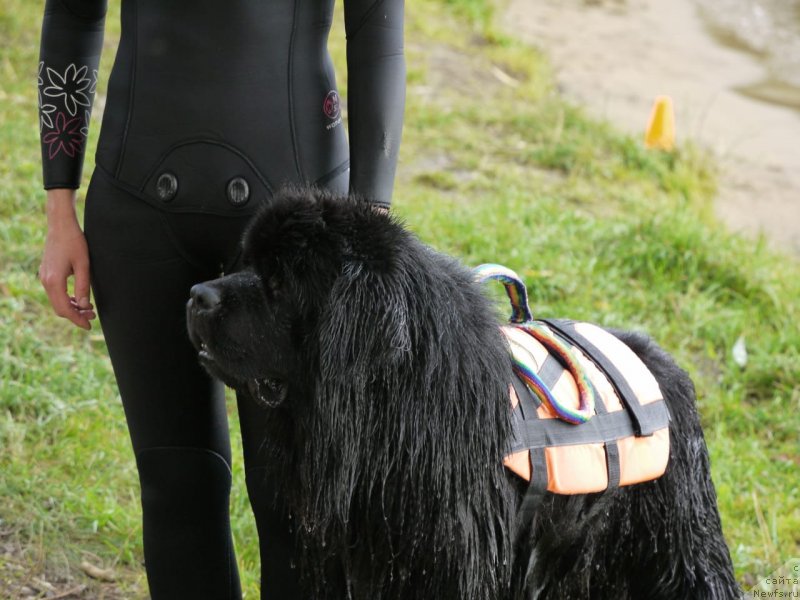 Фотография № 247429