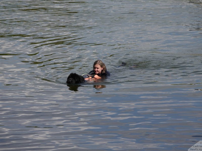 Фотография № 247433