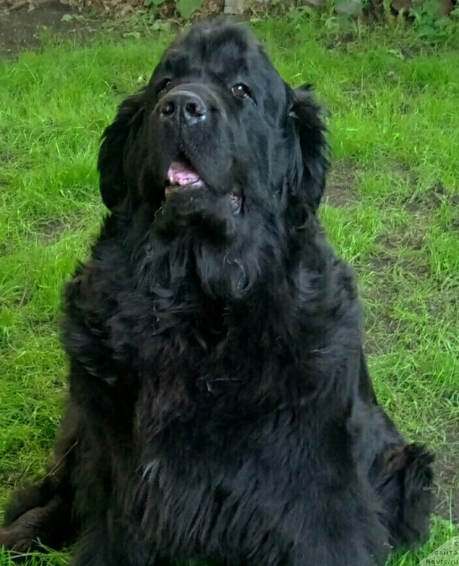 Фотография № 247443