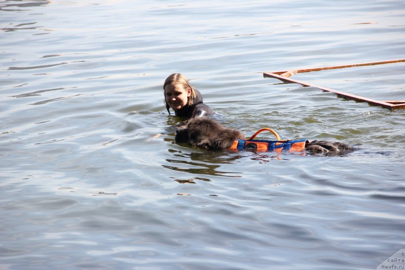 Фотография № 247455