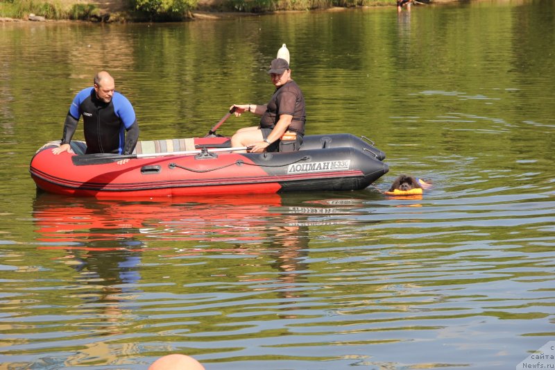 Фотография № 247458