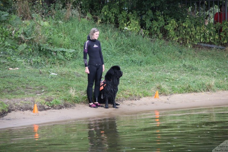 Фотография № 247476