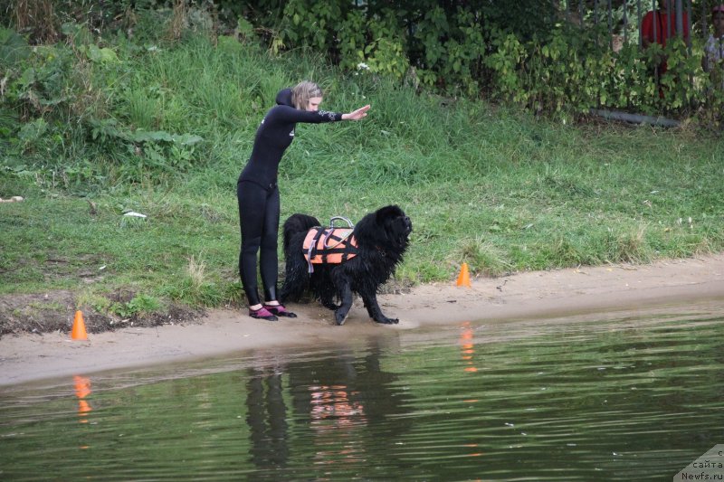 Фотография № 247477