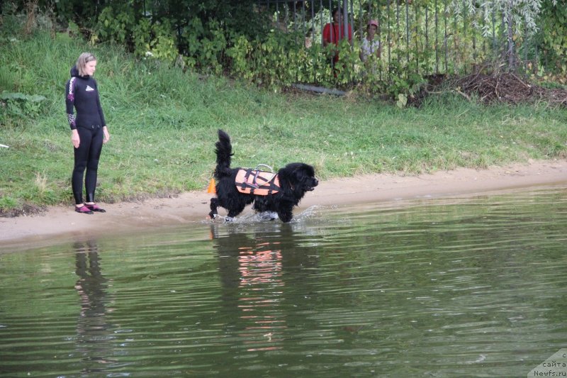 Фотография № 247478