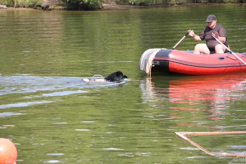 Фотография № 247479