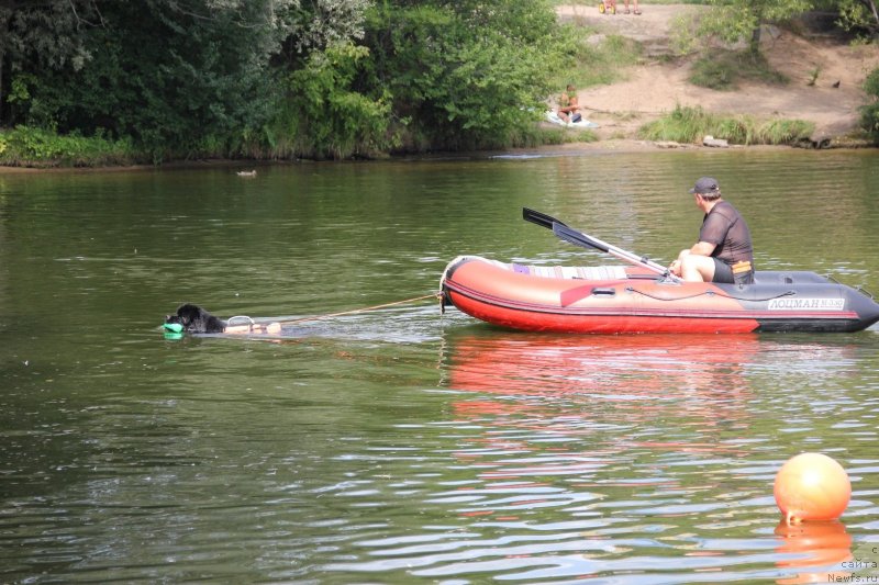 Фотография № 247480