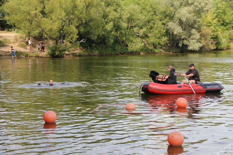 Фотография № 247488