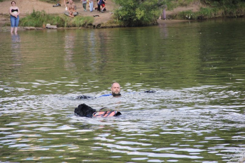 Фотография № 247489